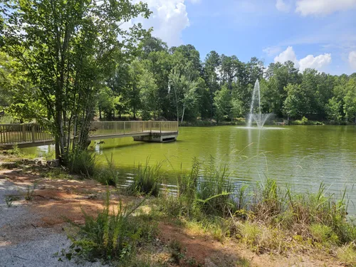 Grace Street Park-格林伍德-Laird_Torrance