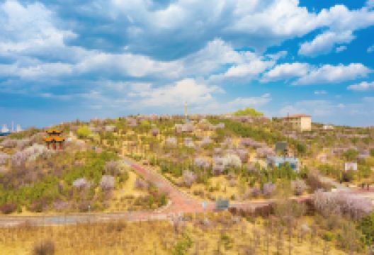 老虎山生态公园景点图片