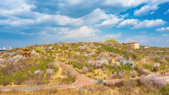 老虎山生態公園