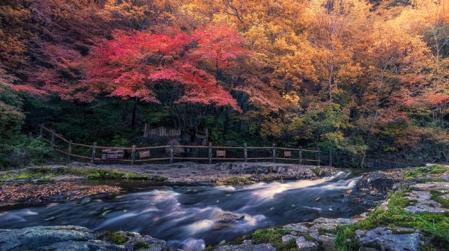 关门山国家森林公园