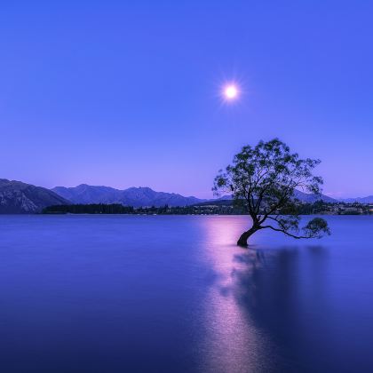 新西兰6日5晚私家团