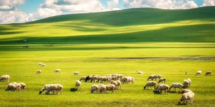 川藏高速公路南線