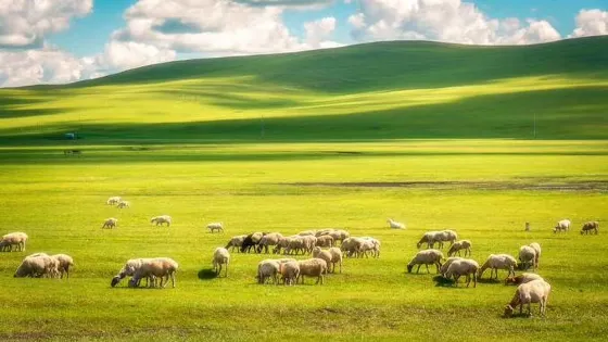 川藏高速公路南線