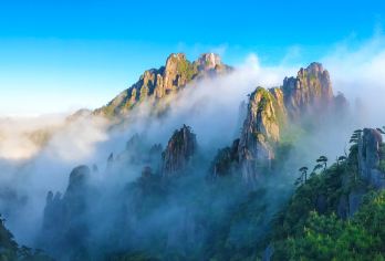 上饶三清山风景区一日游【上饶起止】【天天发班，1人也成团】