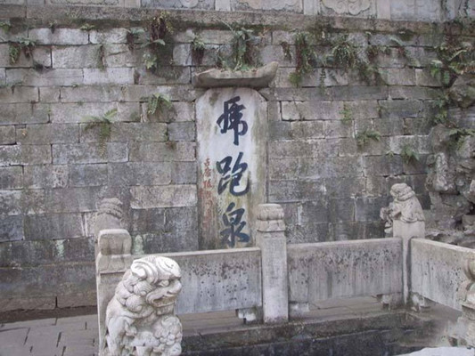 虎跑泉,是龙井茶叶来泡的