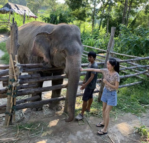 清迈府游记图文-错开高峰的清迈之旅，爽！