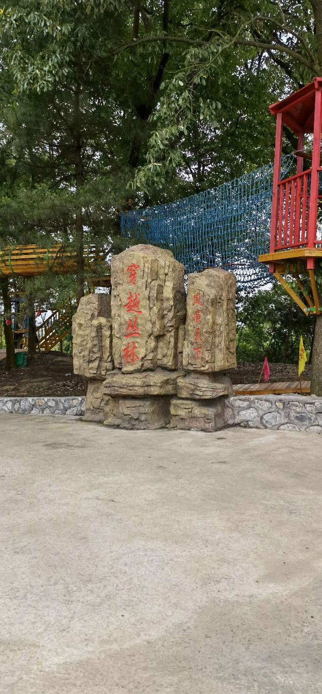 凤鼎天下穿越丛林旅行图片 3