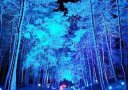 travel picture