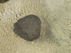 布托湖-丁青-heidu-