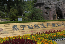 泰宁风景旅游区-泰宁展示中心景点图片