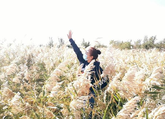 【新疆&amp;#183;克拉玛依】网红打卡旅游景点九龙潭金龙湖