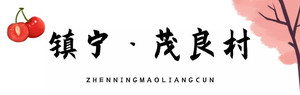 镇宁游记图文-乡游黔中│这里熟了！共赴镇宁茂良村，感受樱桃的甜蜜暴击