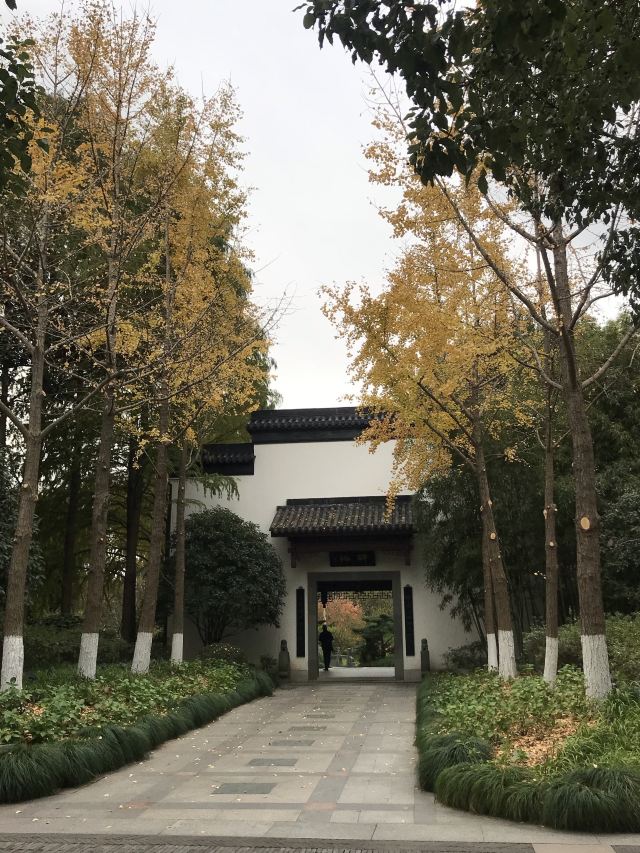莘庄公园旅行图片 5