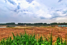 青州弥河国家湿地公园-青州-C-IMAGE