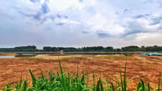 青州彌河國家濕地公園