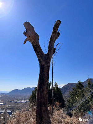 北京平谷最好的爬山选择，丫髻山，春天等你来爬山！北京爬山最好的去丫髻山！