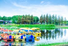 洪湖湿地生态旅游区景点图片