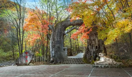 青山溝國家重點風景名勝區-虎塘溝