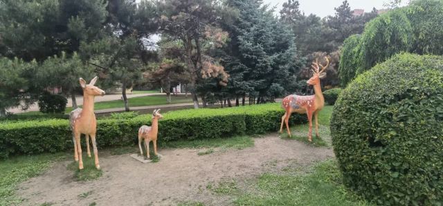 德惠公园旅行图片 13