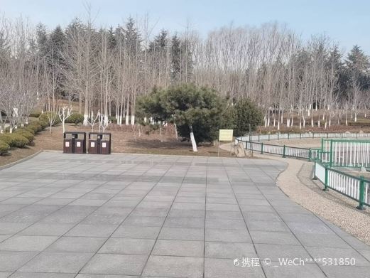 招远市黄金阁公园