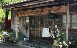 SAKOYA