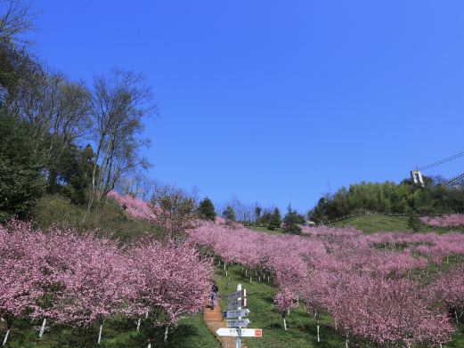 天府花溪谷景区