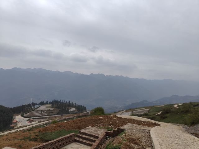 景东亚热带植物园珍稀植物园旅行图片 2
