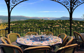 L'amandier de Mougins