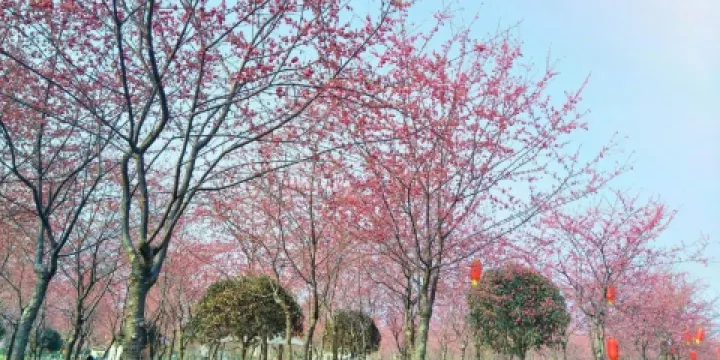 青塘文化廣場永興園