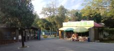 张公山公园-动物园-蚌埠