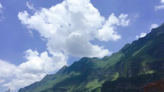 陸家寨