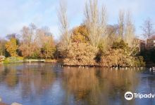 Kelsey Park景点图片