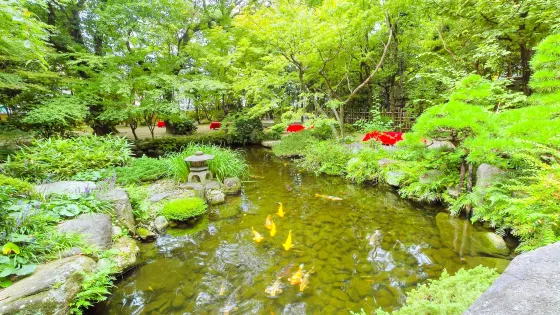 樂水園