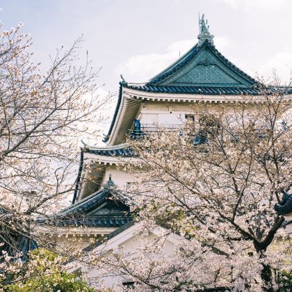 日本大阪+京都+伊势市+志摩市+熊野市+和歌山市6日5晚私家团