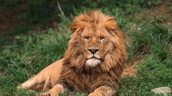 溫州動物園