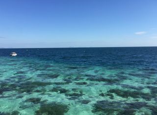 亚庇周末游 一个来了就不想走的地方