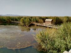 莲海世界-博湖-yuyanjia~