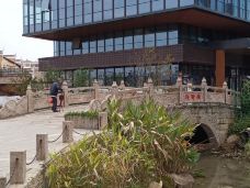 万载古城-万载-大松树叶子