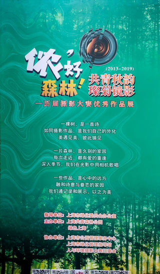 “森林氧吧”里的摄影展