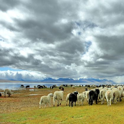 内蒙古呼和浩特+希拉穆仁草原+响沙湾2日1晚私家团