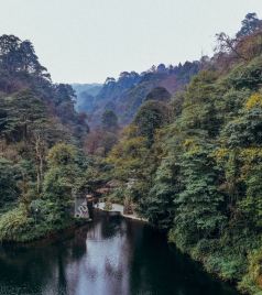 邛崃游记图文-成都周边的宝藏地推荐：邛崃天台山，平乐古镇，大梁酒庄