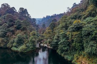 成都周边的宝藏地推荐：邛崃天台山，平乐古镇，大梁酒庄