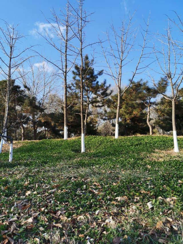 西局玉璞园旅行图片 5