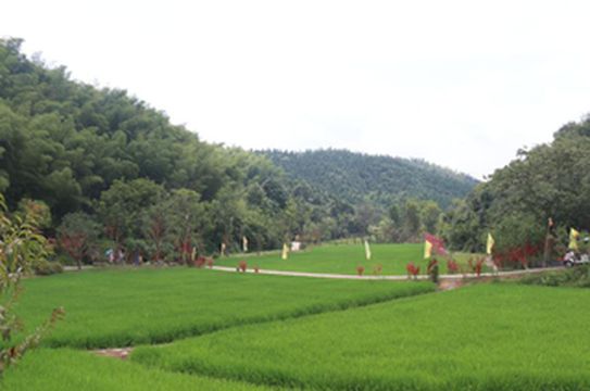 《桃花源三日游攻略》