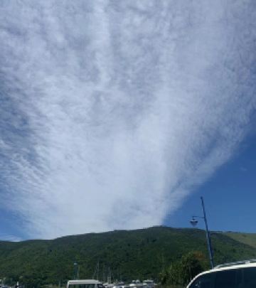 布伦海姆游记图文-马尔堡酒庄-青口小镇-摘樱桃在南半球的12月