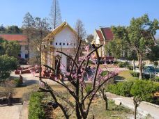 报恩禅寺-溧阳-邻368636