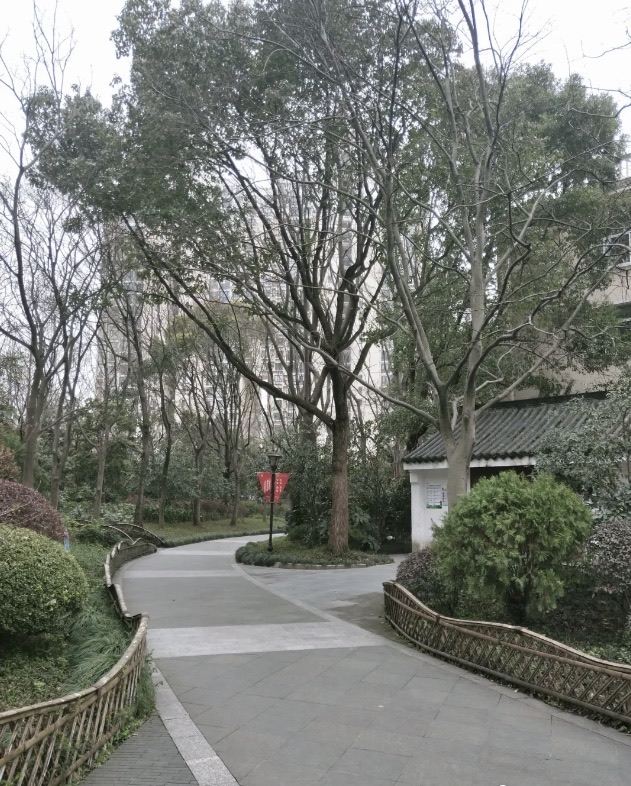蓬莱公园旅行图片 2