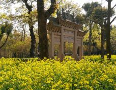 林州天平山风景区-林州-一杯清茶看春秋！