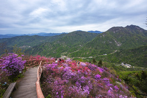 英山游记图文-武汉周边自驾1.5小时的宝藏之地，最美花季已到，现在出发还不晚！