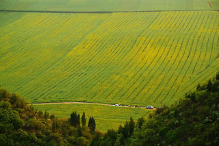 快乐滇时光——元阳、罗平、东川、丽江、大理.....